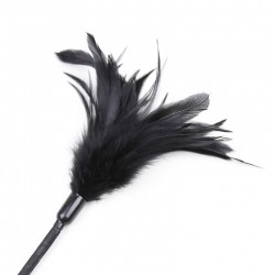 Fusta Con Plumero Feather... 2
