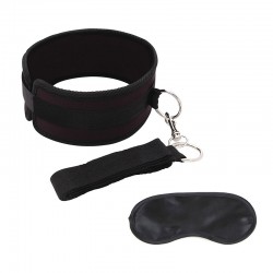 Kit Collar con Correa y...