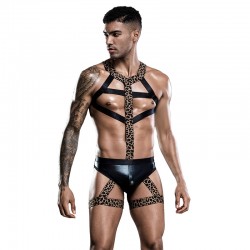 Conjunto Brief y Arnés...