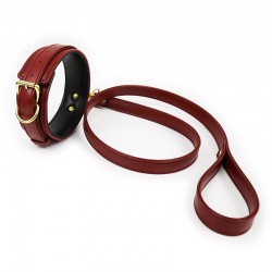 Steam Fantasy Collar con...