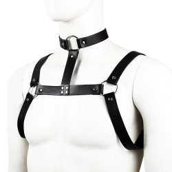 Stud Arnés de Pecho con Collar 2
